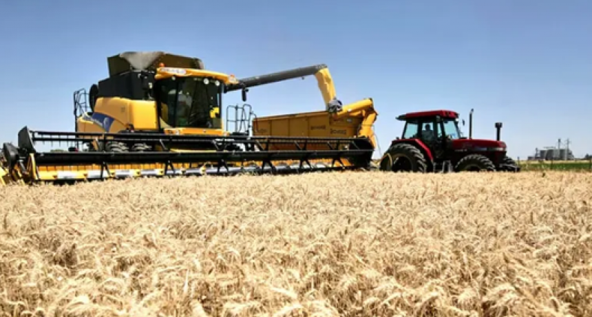 Finalizó una cosecha récord de trigo: 27,8 mill/tn