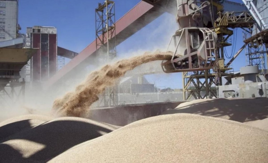 Se inicia inscripción para exportadores de granos de cebada, soja, sorgo y maíz a China