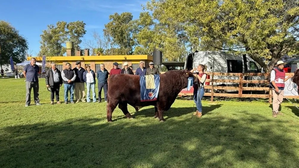 El Shorthorn vivió su Expo de Otoño en la Sociedad Rural de Azul