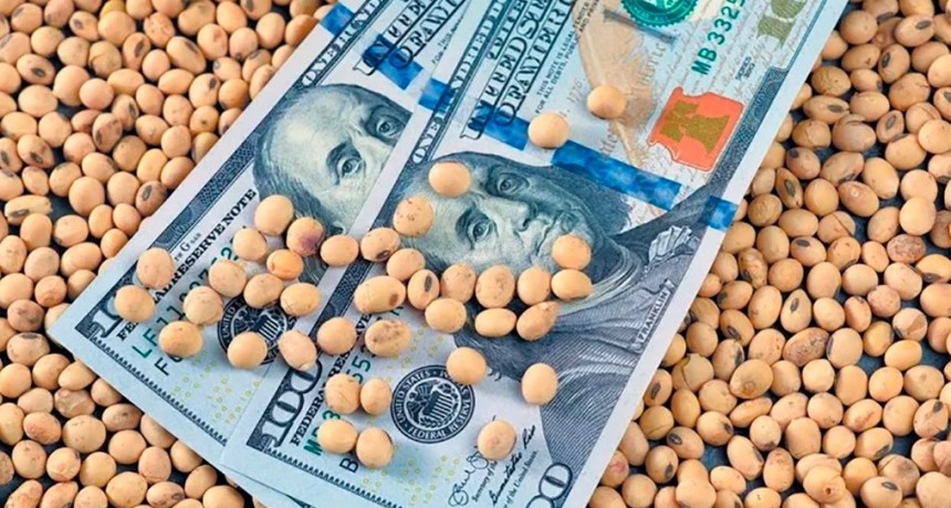 Proyectan que el campo cierre 2025 con US$ 37.150 millones liquidados