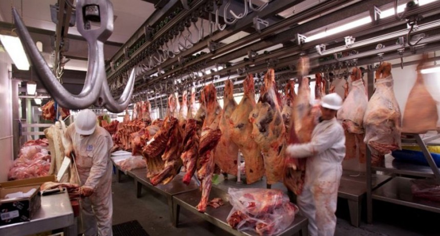 Sin techo en los valores: el sector de ganados y carnes se prepara para un 
