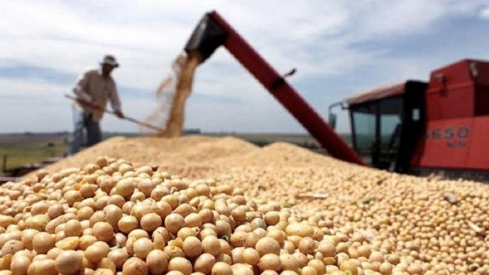 Caída en las exportaciones del agro: aportarían u$s36.300 millones este año