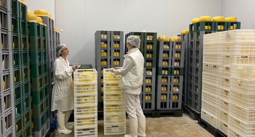 Empresa de Tandil exporta m&aacute;s de dos toneladas de queso a EE.UU.