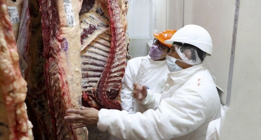 Aprobaron el troceo y los medios mec&aacute;nicos para la venta de carne