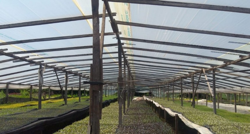 Gu&iacute;a para la inscripci&oacute;n oficial de fertilizantes y enmiendas de producci&oacute;n familiar y cooperativa