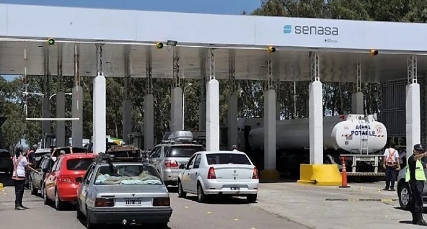 Se evit&oacute; el consumo de 6,5 toneladas de alimentos transportados en descomposici&oacute;n