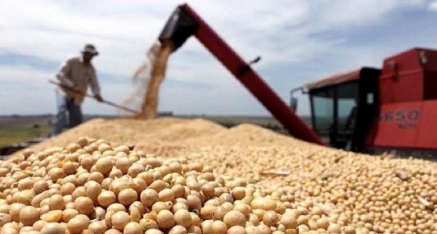 Ca&iacute;da en las exportaciones del agro: aportar&iacute;an u$s36.300 millones este a&ntilde;o