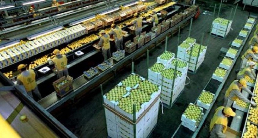 Econom&iacute;as Regionales: Las exportaciones crecieron en d&oacute;lares