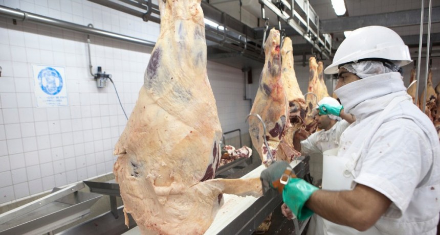 Argentina sumo un nuevo mercado: Argelia habilit&oacute; la exportaci&oacute;n de carne con hueso