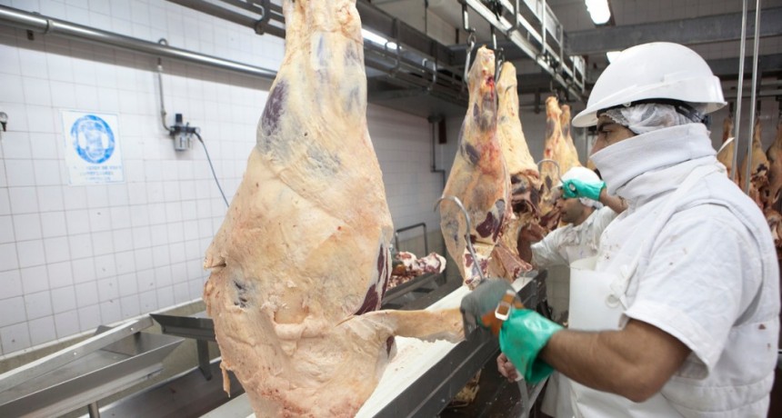 Los exportadores de carne insisten en su rechazo a la distribuci&oacute;n por media res y advierten por los riesgos sanitarios