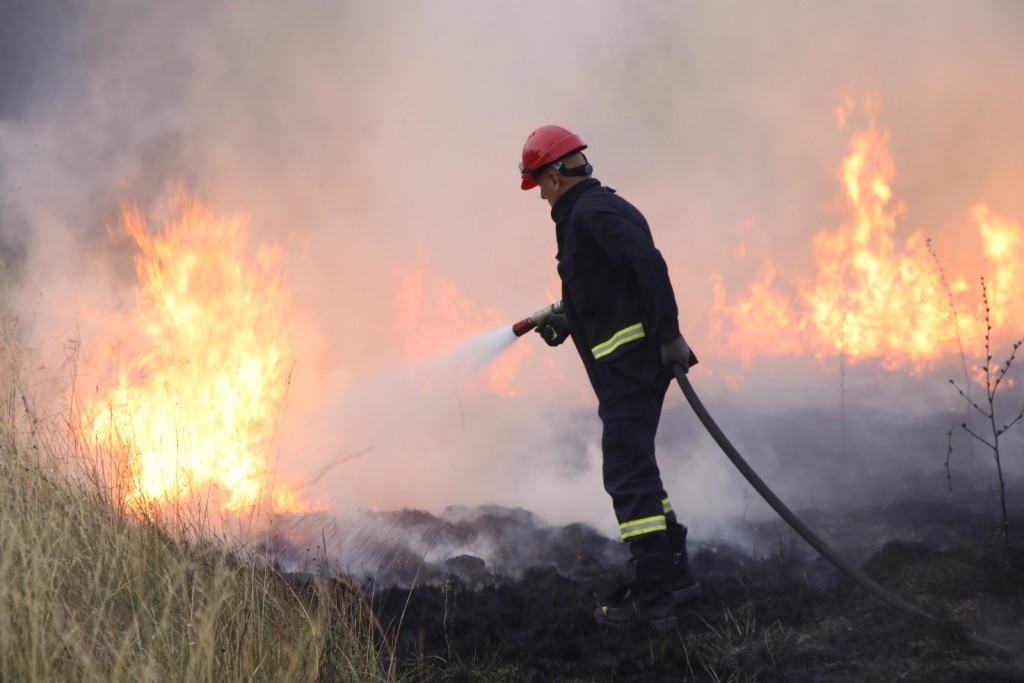 Defensa Civil brinda recomendaciones para evitar incendios forestales