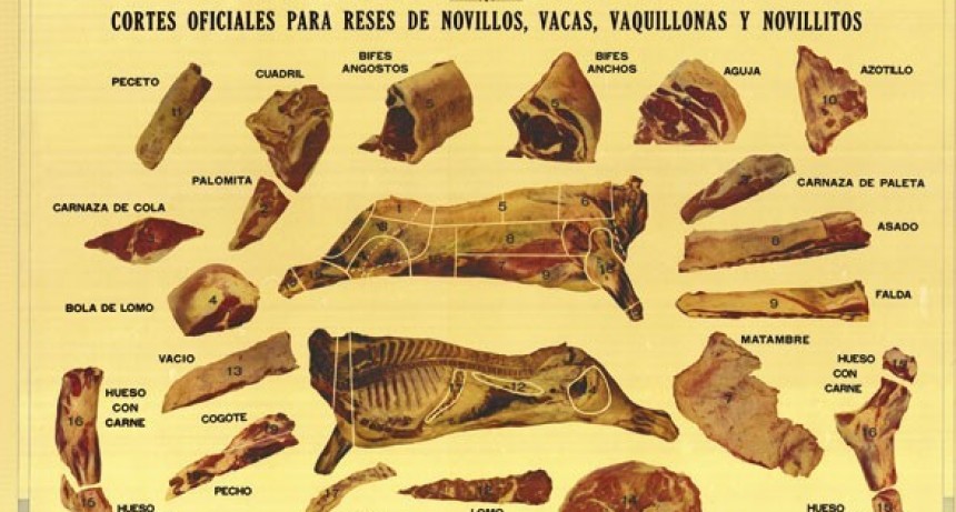 &lsquo;Comemos el mismo animal que se exporta, otros cortes&rsquo;