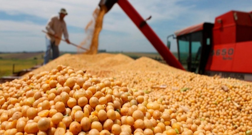 La producci&oacute;n granaria 2023/24 podr&iacute;a generar ingresos por m&aacute;s de U$S 35.000 millones