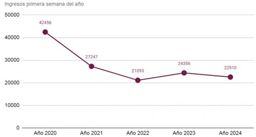 Oferta reducida en la primera semana de 2024 en el MAG: novillitos y vaquillonas alcanzaron $1.600 por kilo