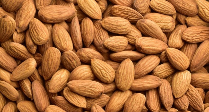 Argentina logr&oacute; la apertura para la exportaci&oacute;n de almendras a Brasil