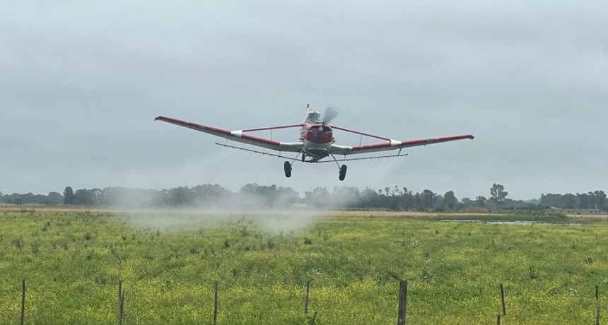 Destacan una &lsquo;muy buena campa&ntilde;a&rsquo; de aplicaciones a&eacute;reas en fungicidas