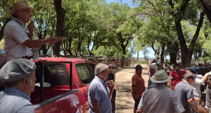 Remate Adolfo S Koerner  y C&iacute;a S.A Consignatarios en Azul