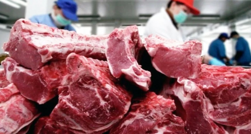 Las exportaciones de carne vacuna aumentaron casi 12% en noviembre