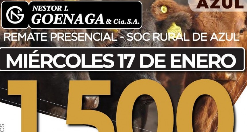 Este mi&eacute;rcoles se realiza el primer remate del a&ntilde;o de la firma N&eacute;stor I. Goenaga