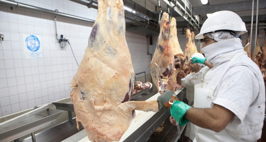 La carne vacuna aument&oacute; 307,3% en un a&ntilde;o