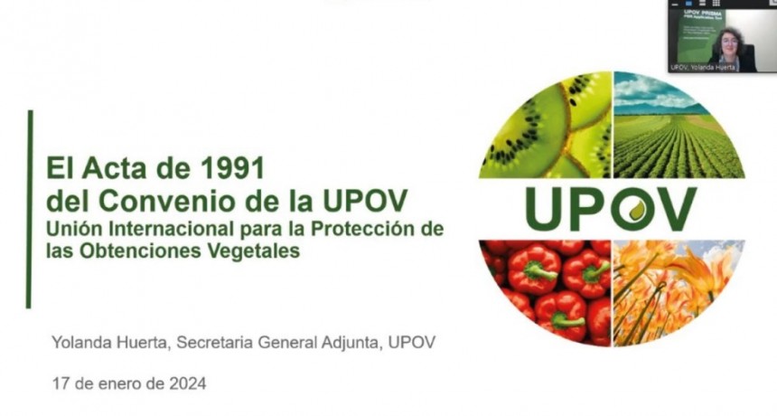 Adherir a UPOV 91 significa el acceso a la mejor tecnolog&iacute;a gen&eacute;tica disponible para todos los productores