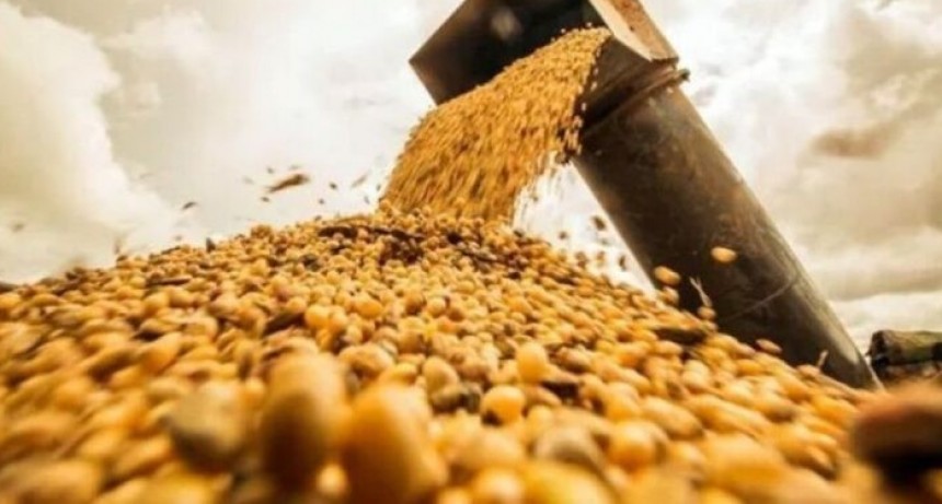 La BCBA corrigi&oacute; su estimaci&oacute;n de &aacute;rea sojera y maicera y la cosecha ser&iacute;a mayor (si llueve)