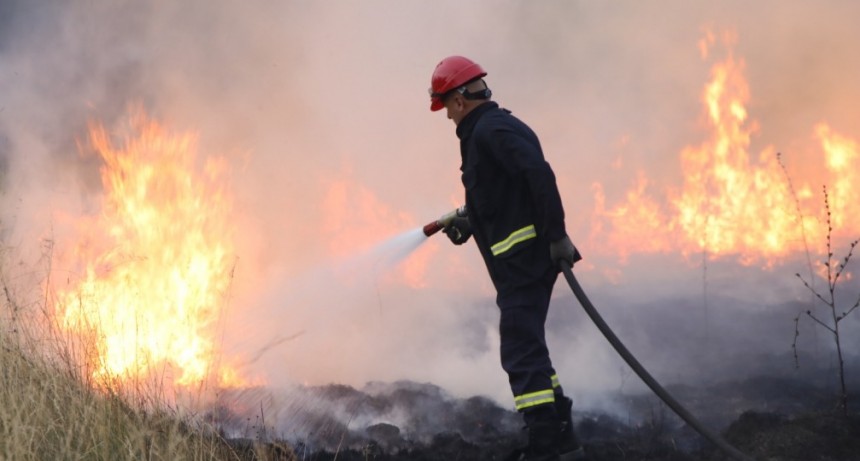 Defensa Civil brinda recomendaciones para evitar incendios forestales