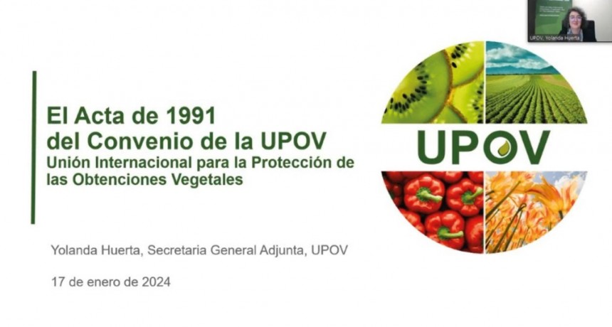 El Gobierno har&aacute; part&iacute;cipes a los productores de la reglamentaci&oacute;n de UPOV 91