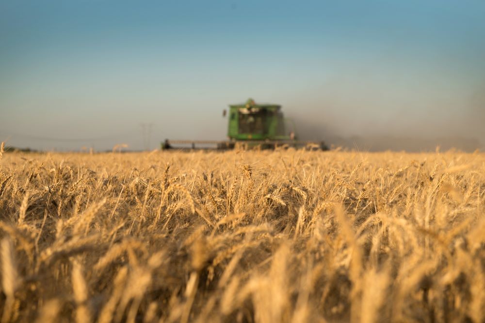 La Justicia aceptó amparo de productores por el Inmobiliario Rural