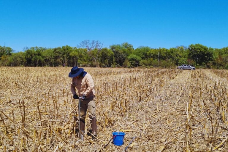 Por falta de agua en gran parte del país, se encienden las alarmas en el agro