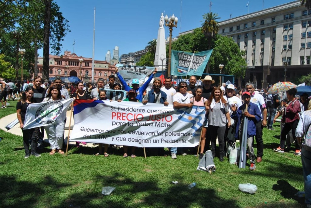 Productores de yerba mate analizan parar la cosecha 