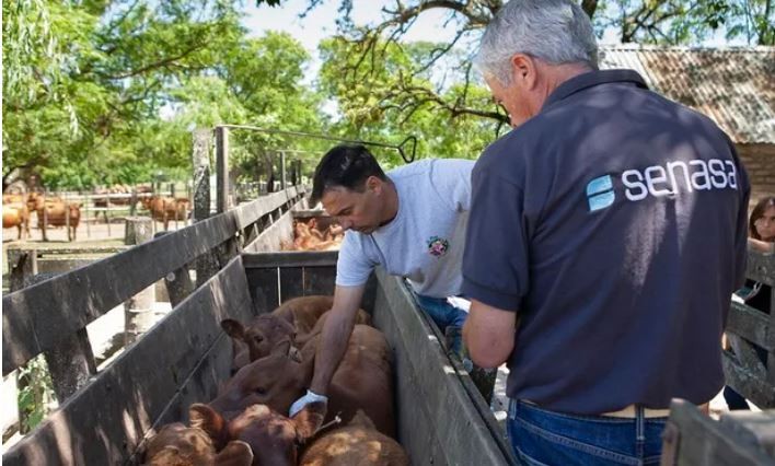 Senasa simplificó el marco regulatorio para la exportación, importación y comercialización de productos veterinarios