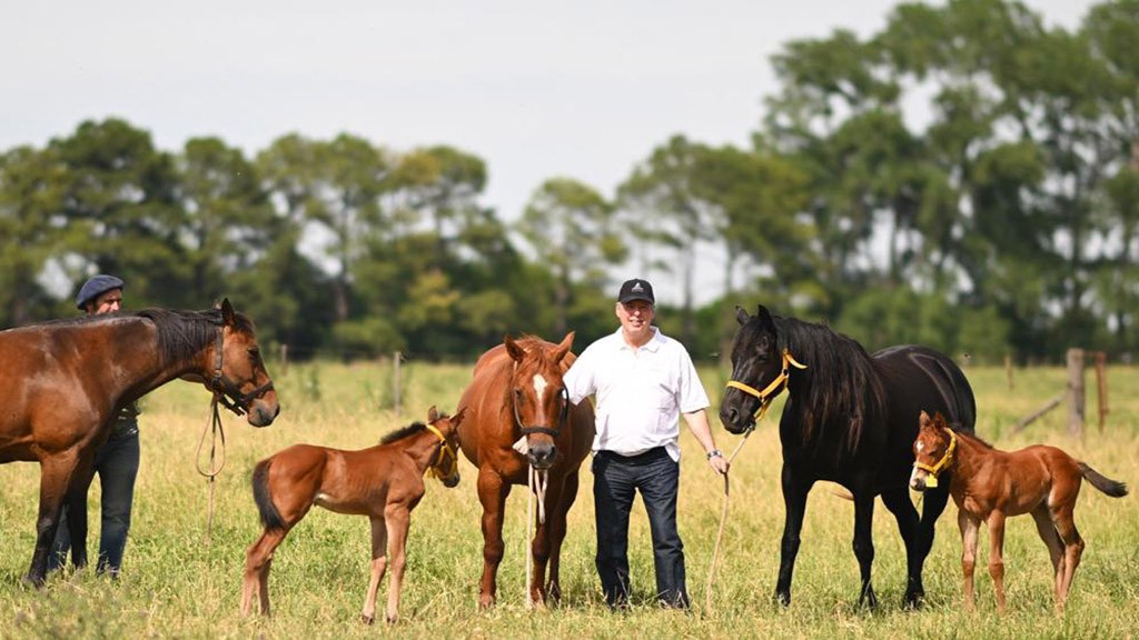 Nacieron los primeros caballos de diseño genético del mundo de la mano de una biotech argentina