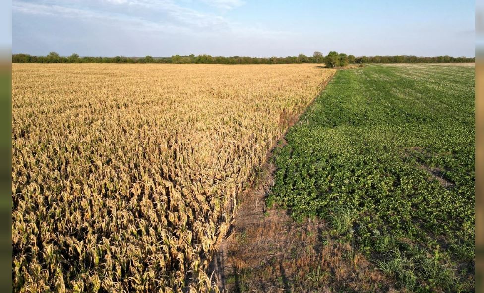 Desesperado rezo del campo a La Niña para que deje pasar agua y salve los cultivos