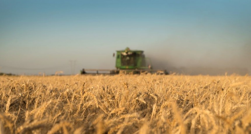 La Justicia acept&oacute; amparo de productores por el Inmobiliario Rural