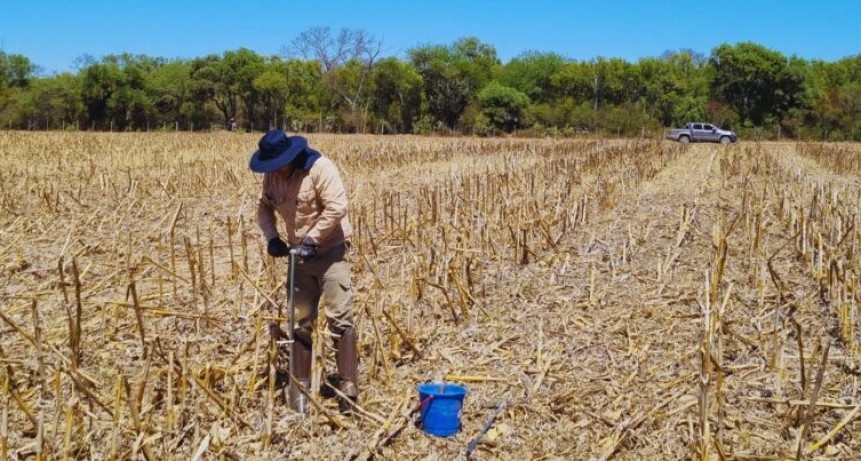 Por falta de agua en gran parte del pa&iacute;s, se encienden las alarmas en el agro