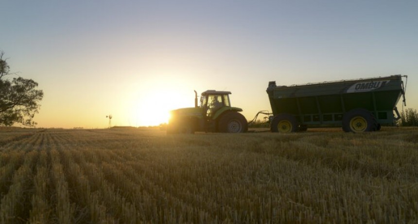 El campo pide el fin de las retenciones y dice que se va hacia la &ldquo;desaparici&oacute;n del productor&rdquo;