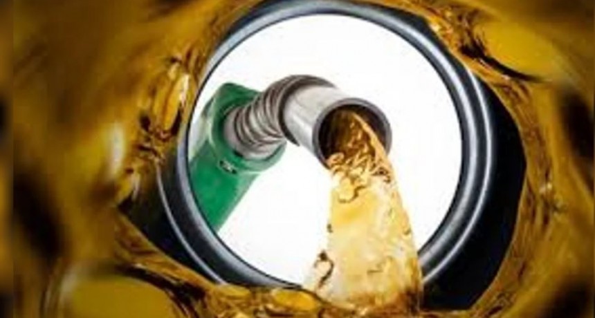 Presi&oacute;n al precio del gasoil: autorizan la primera suba del a&ntilde;o en el valor del biodiesel