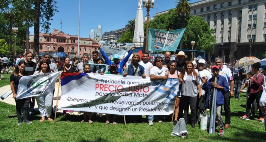 Productores de yerba mate analizan parar la cosecha 