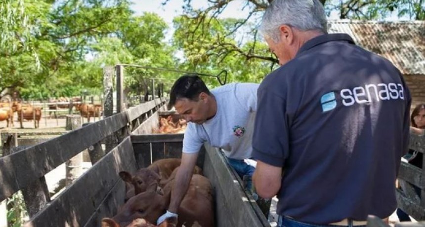 Senasa simplific&oacute; el marco regulatorio para la exportaci&oacute;n, importaci&oacute;n y comercializaci&oacute;n de productos veterinarios