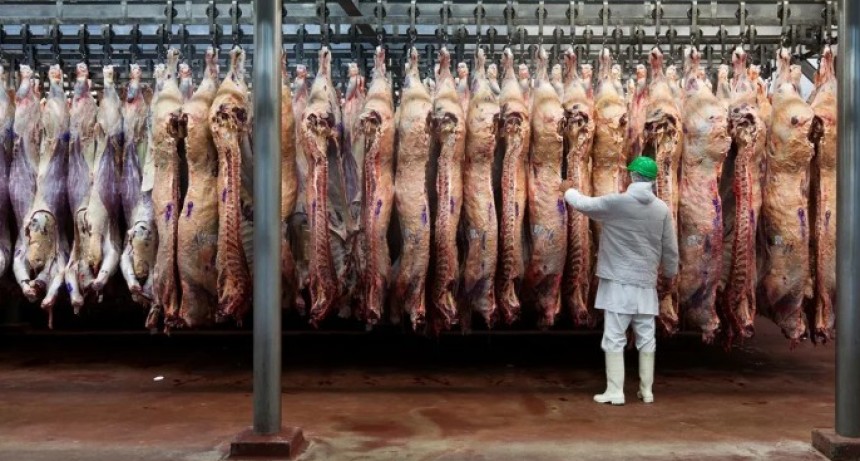 Crisis en un frigor&iacute;fico: incumplimientos con China y sueldos atrasados sacuden al sector