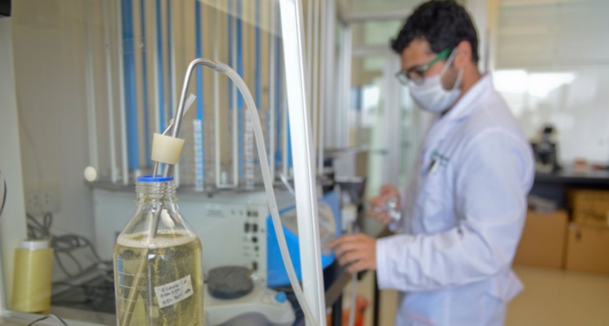 El Gobierno Nacional aprob&oacute; en 2024 la mayor cantidad de productos biotecnol&oacute;gicos en casi 30 a&ntilde;os