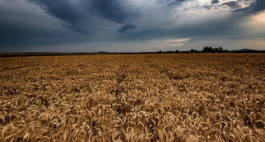 Clima: Para el primer trimestre del a&ntilde;o se esperan temperaturas por encima de las medias