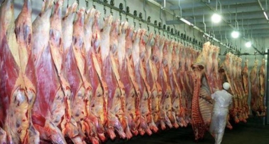 En 2024, la faena vacuna cay&oacute; un 4,1%