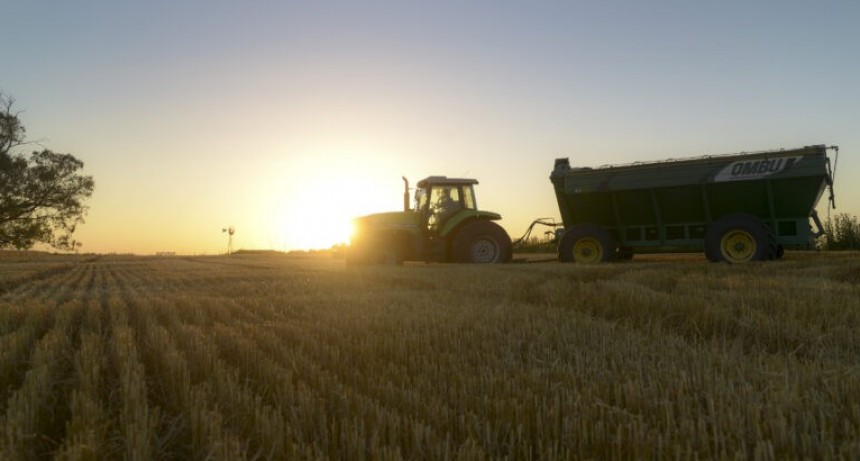 Estiman que el campo aportar&iacute;a unos US$ 8.386 millones por retenciones en 2025