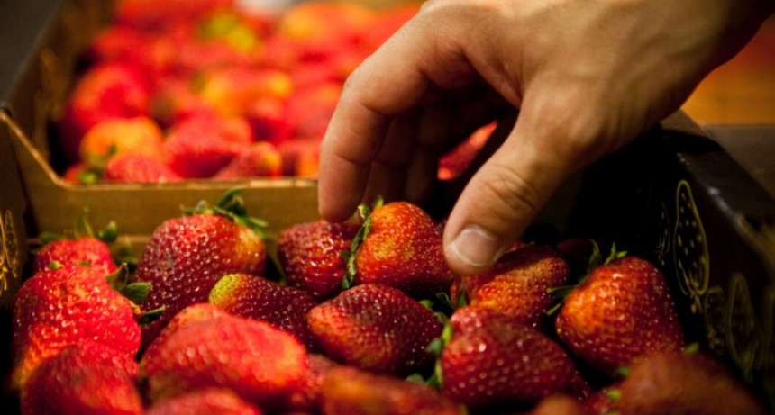El Gobierno elimin&oacute; restricciones para la exportaci&oacute;n e importaci&oacute;n de alimentos
