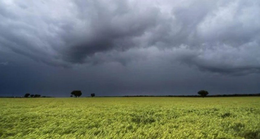 Clima y finanzas: hubo lluvias clave en la regi&oacute;n n&uacute;cleo