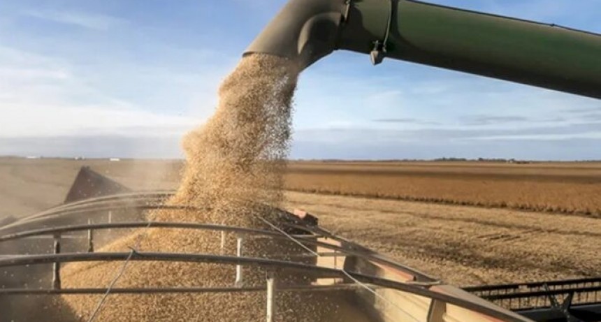 El campo bonaerense apunt&oacute; a ARCA por retraso en devoluci&oacute;n de IVA