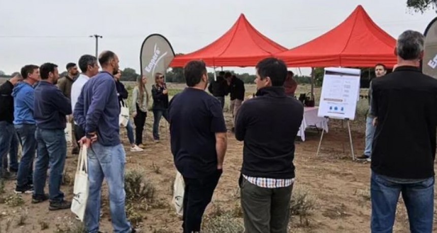 Se lanz&oacute; primero en Argentina: el herbicida que muestra resultados en apenas 24 horas