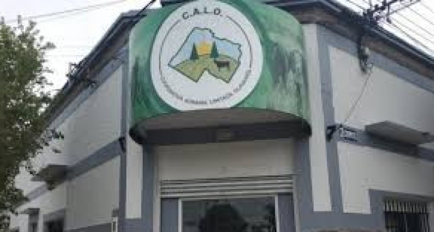  &ldquo;A fines de febrero podr&iacute;a inaugurarse el nuevo sal&oacute;n"